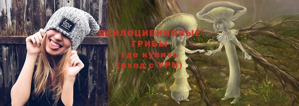 jwh Абаза