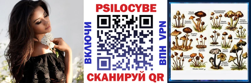 mega онион  Горячеводский  Псилоцибиновые грибы Psilocybe  сколько стоит 